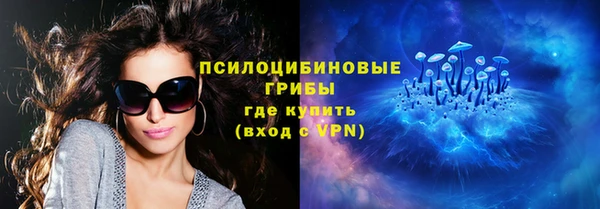 не бодяженный Богородицк