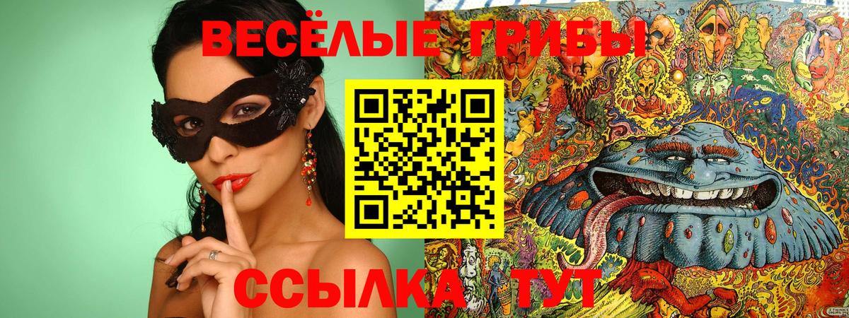 Псилоцибиновые грибы прущие грибы  Галлюциногенные грибы GOLDEN TEACHER  Бугульма  Вход с VPN 