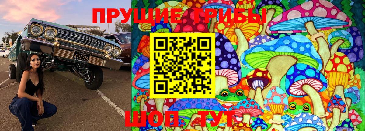 Галлюциногенные грибы GOLDEN TEACHER Бугульма